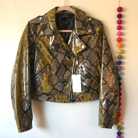 zara snakeskin biker jacket